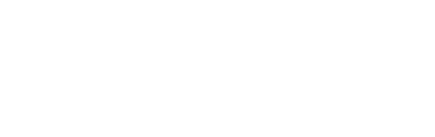 Learn to Fly logo
